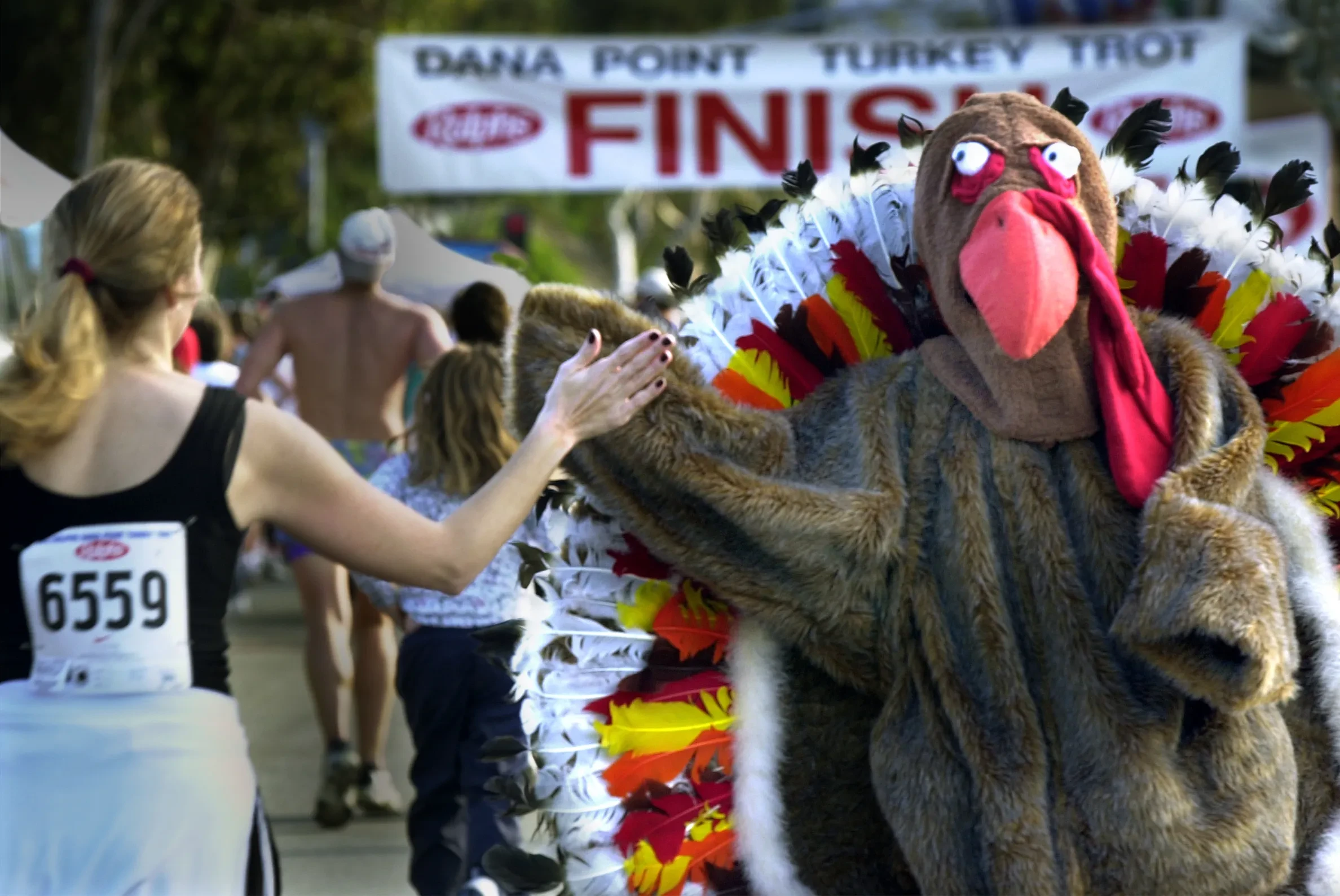 Turkey Trot